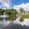 Pond